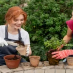 decoradhouse garden tips by decoratoradvice