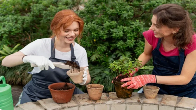 decoradhouse garden tips by decoratoradvice